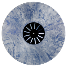 Load image into Gallery viewer, 20 Second Century Limited Edition Vinyl
